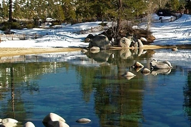 Nordic iPhone 5s Wallpapers