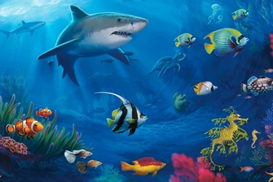 PC Wallpapers Live Hd,desktop Wallpapers