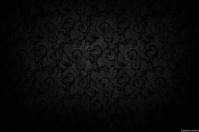 Dark Ornate Black Lace Pattern Wallpapers