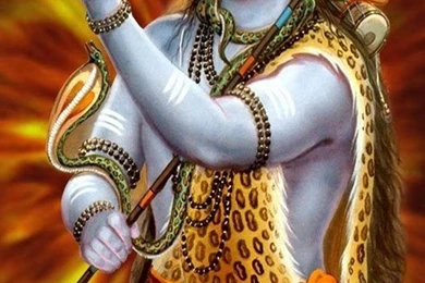 Lord Shiva Best Hd Iphone 5s Wallpaper Backgrounds Free