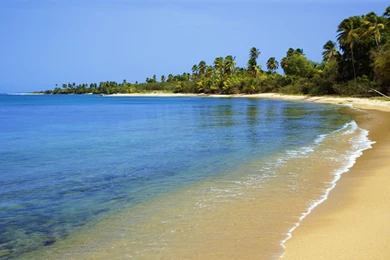 Green Beach Island Of Vieques Puerto Rico Wallpapers