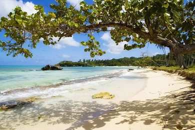 Island Beach Wallpapers