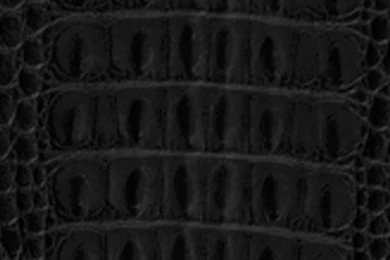 ALLIGATOR BLACK 3Dby Nexgen Skins – Creating Thick Dimensional ...