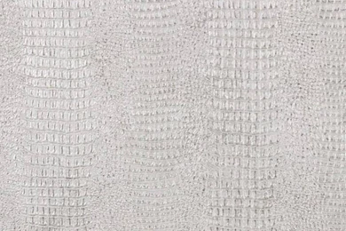 Animal Print Wallpapers