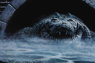 Alligator Wallpapers HD