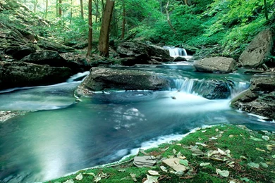 Nature Backgrounds For Computer Wallpapers