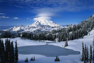 Nature Desktop Wallpapers Picture