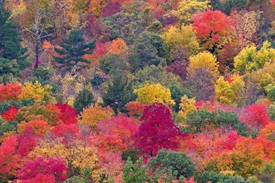 Indian Summer — Crafthubs