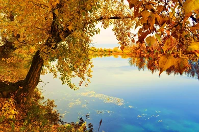 Indian Summer Wallpapers >> Backgrounds With Quality HD