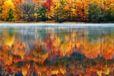 Morning Nature Usa Lake New Hampshire Reflection Autumn Fog ...