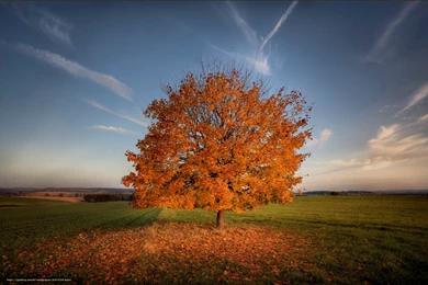 537336_indian_summer_babe_leto_5634x3754_www.Gde Fon.com.jpg