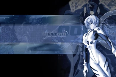 Download Wallpapers Neon Genesis Evangelion, Ayanami Rei (1024 X ...