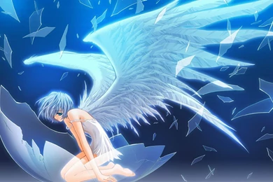 Rei Ayanami   Neon Genesis Evangelion : Full HD Desktop Wallpapers ...