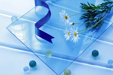 Beautiful Flowers Wallpapers Collection (42+)