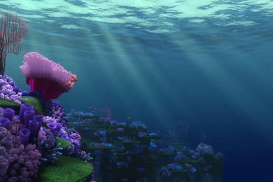 The Ellie Badge: Pixar Rewatch: Finding Nemo