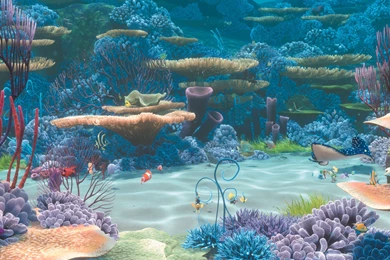 FINDING NEMO Animation Underwater Sea Ocean Tropical Fish ...