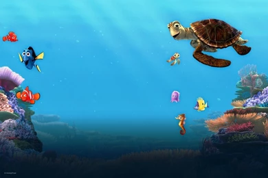 Nemos Family Childcare