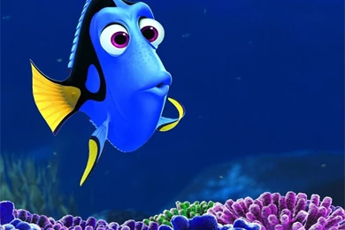Dory Finding Nemo Backgrounds For FB Cover   Cartoons Wallpapers