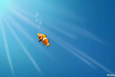 Finding, Nemo (