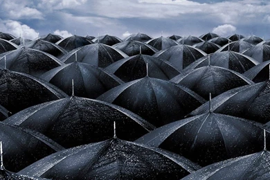 Black Umbrellas, 1280x720 Pixels : Wallpapers Tagged Miscellaneous ...