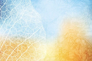 The Gorgeous Silhouette Backgrounds – Vector