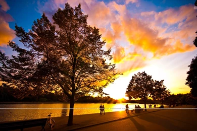 Wallpapers Of Miscellaneous, Free Wallpapers Of Miscellaneous, HD ...