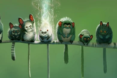 Miscellaneous Wallpapers — Free Full HD Wallpaper. Widescreen HQ ...