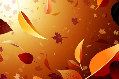 Miscellaneous Wallpapers HD Free Download