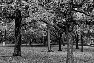Wallpapers Of Miscellaneous, Free Wallpapers Of Miscellaneous, HD ...