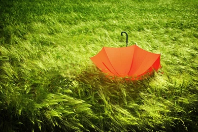 Top Other Miscellaneous Wallpapers