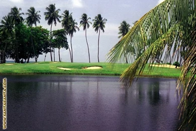 Miscellaneous Wallpapers