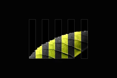 Photos (general) HD Wallpapers And Backgrounds