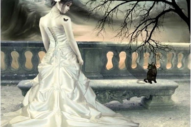 Wallpapers Wedding Dress Free Screensavers 1024x768