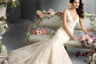 Vera Wang Wedding Dress Lace Styles
