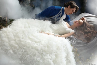 Princess Cinderella Wedding Dress