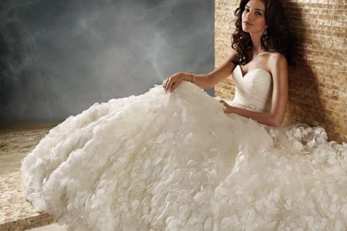 Bridal Wedding Dresses Hd Wallpapers   Wallpapers Z