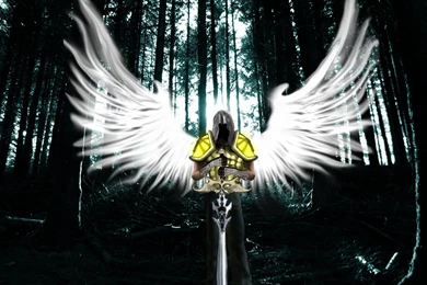 Image   Schutzengel Guardian Angel By Eracia64.jpg   Red Dead Wiki ...