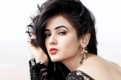 Sonal Chauhan Hd Wallpapers Profile Pics