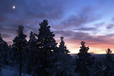 Digital Blasphemy Free Gallery