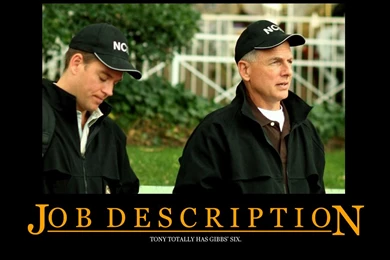 Funny Desktop Wallpapers Pictures 20294 HD Wallpapers