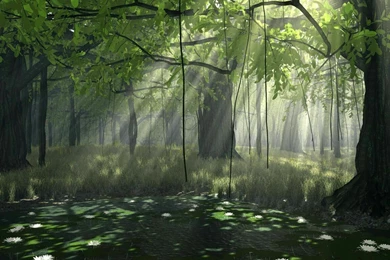 The Forest By Digitalblasphemy   Digital Art Nature Wallpapers Image
