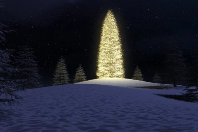 Digital Blasphemy Christmas, 1920x1200 HD Wallpapers And FREE Stock ...