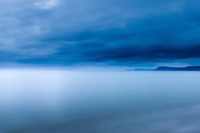 Daisies Sky Blue Sony Xperia Z Wallpapers HD 2160x1920