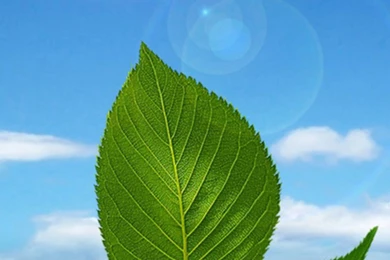 Sony Xperia Z2 Wallpapers HD, Xperia Z And Xperia Z1 Wallpapers