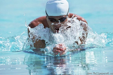 Swimming Sports － Sports Wallpapers   Free Download Wallpapers ...