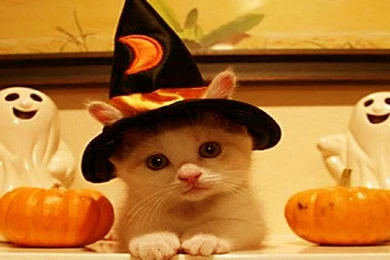 Best Halloween Wallpapers & Backgrounds
