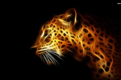 Wallpapers Leopard   Wallpapers Cave