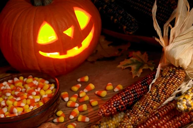 Hd Wallpapers Funny Halloween   Welcome To TrueHDWallpapers.com