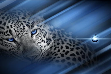 Wallpapers Payday Leopards 1680x1050