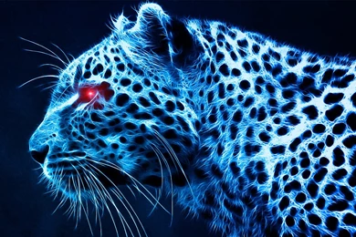 Leopard Wallpapers